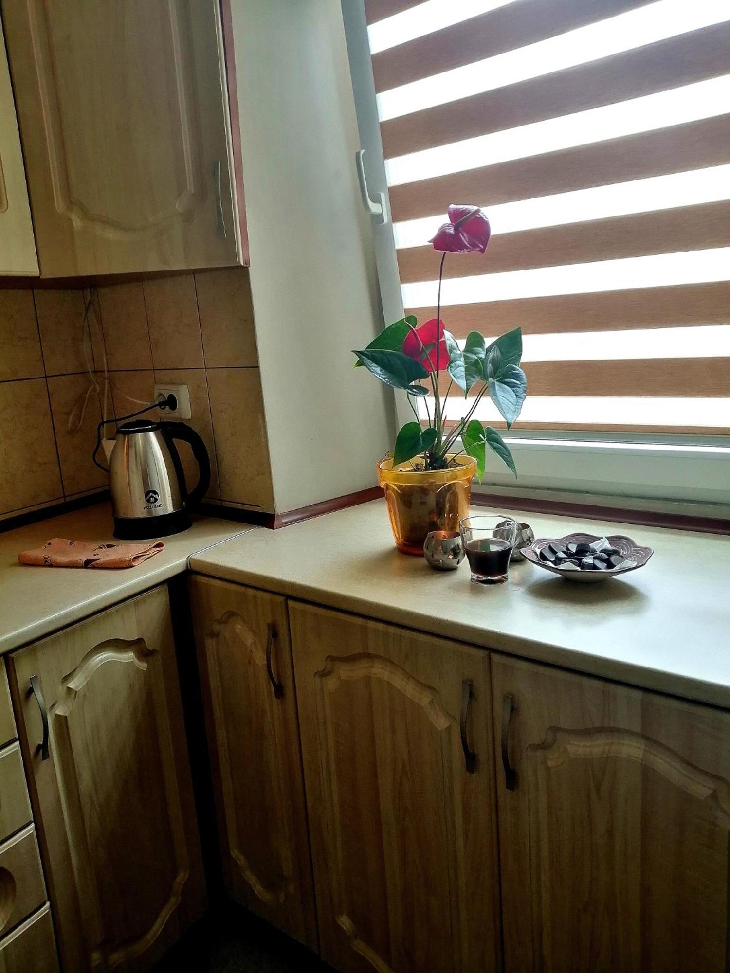 Flat On Sheptytskykh Apartment Лвив Екстериор снимка